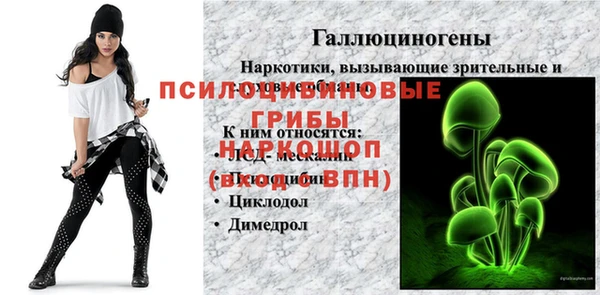 амф Алексеевка